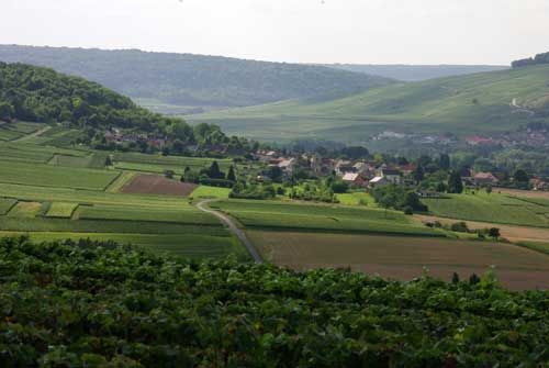 Champagne Fay Michel Vallée de la Marne