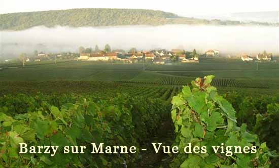 Champagne Fa&yuml; Michel &agrave; Barzy sur Marne