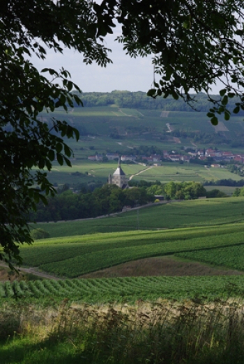 Champagne Fa Michel - Valle de la Marne vu de Dormans