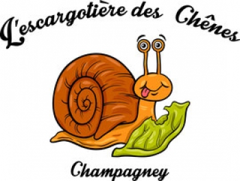 CHAMPAGNE & ESCARGOTS