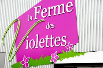 ANIMATION CHAMPAGNE A LA FERME DES VIOLETTES