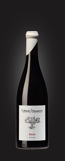 BAIA 2020 - Coteaux Champenois Coup de Coeur