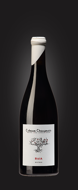 BAIA 2020 - Coteaux Champenois