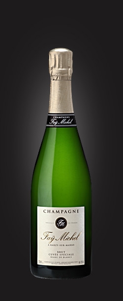 Champagne Cuvée Spéciale - Blanc de blancs