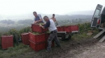 Champagne Fa Michel - les porteurs de paniers