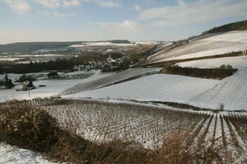 Champagne Fa Michel - Barzy-sur-Marne sous la neige