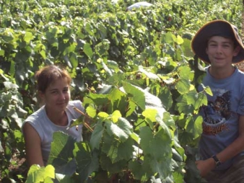 Champagne Fa Michel - Marie et Pierre en Vendanges