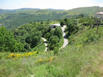 Champagne Fa Michel - paysage ardchoix