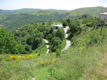 Champagne Fa Michel - paysage ardchoix