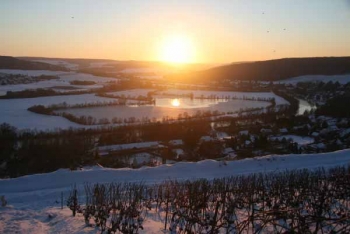 Champagne Fa Michel - Vue sur la Valle de la Marne