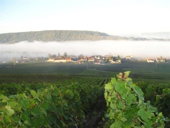 Champagne Fa Michel - Vue de barzy sur Marne