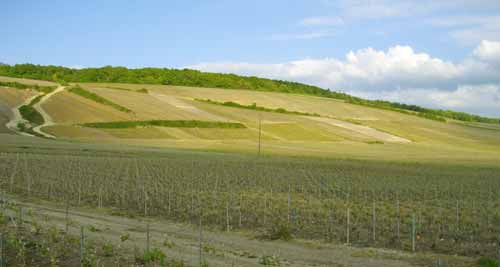 Champagne Fay vue de la route du champagne sur le côteau de Barzy-sur-Marne