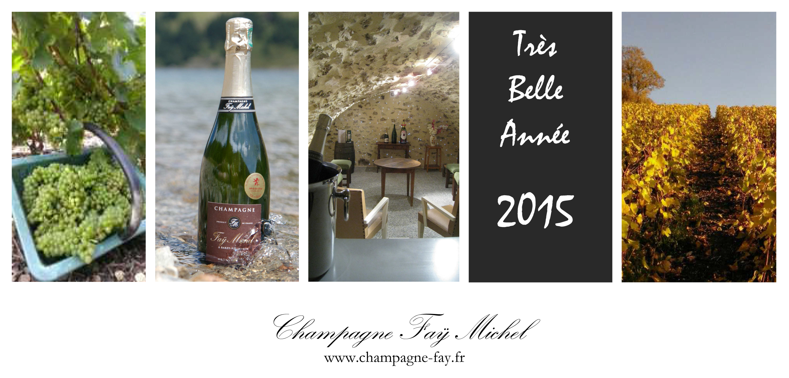 Le champagne Fay Michel vous présente ses meilleurs voeux